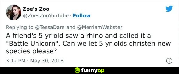 A friend's 5 year old saw a rhino and called it a 
