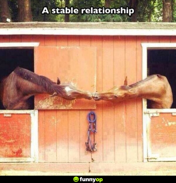 A stable relationship.