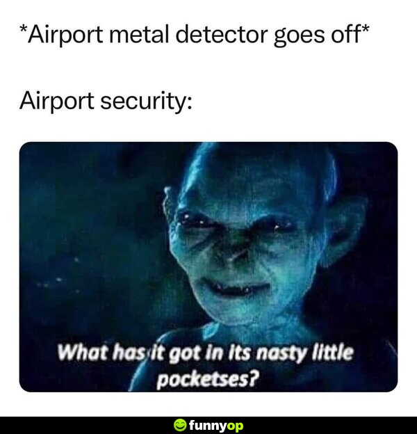 *Airport metal detector goes off* Airport security: What has it got in its nasty little pocketses?