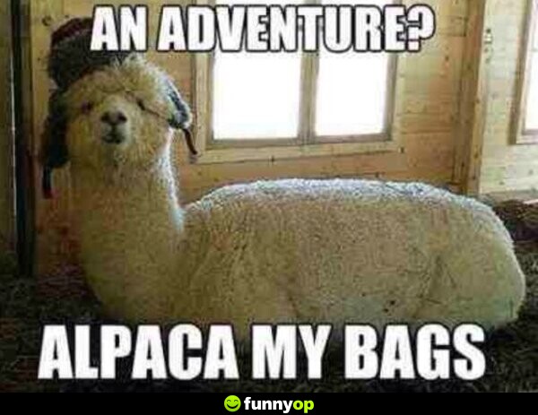 An adventure? alpaca my bags.