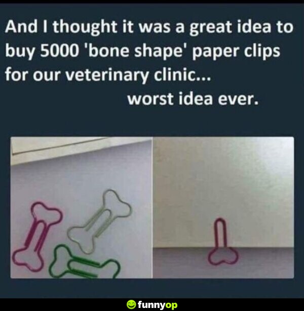 And I thought it was a great idea to buy 5000 bone shape paper clips for our veterinary clinic ... worst idea ever.