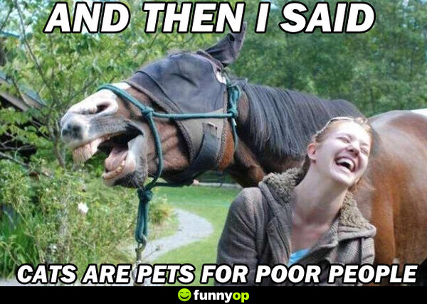 And then I said cats are pets for poor people.