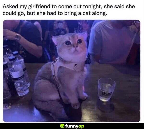 Asked my girlfriend to come out tonight, she said she could go, but she had to bring a cat along.