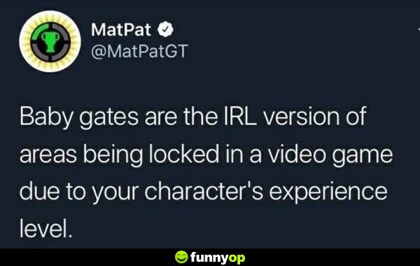 Baby gates are the IRL version of areas being locked in a video game due to your character's experience level.