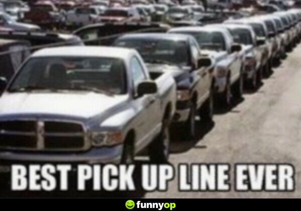 Best pick up line ever.