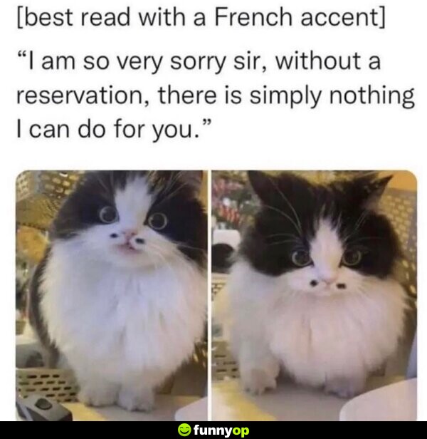 [best read with a French accent] 