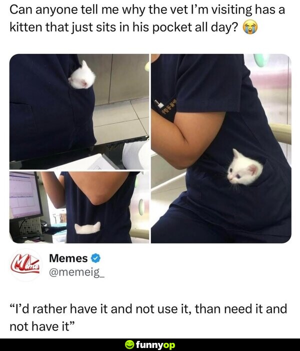 Can anyone tell me why the vet I'm visiting has a kitten that just sits in his pocket all day? 