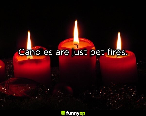 Candles are just pet fires.