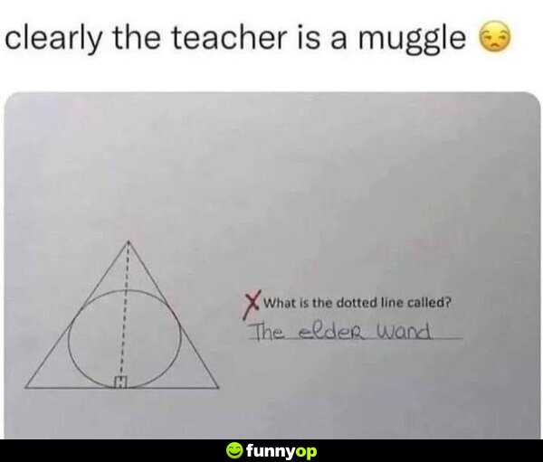 Clearly the teacher is a muggle. Math problem: What is the dotted line called? Student's answer: The Elder Wand.
