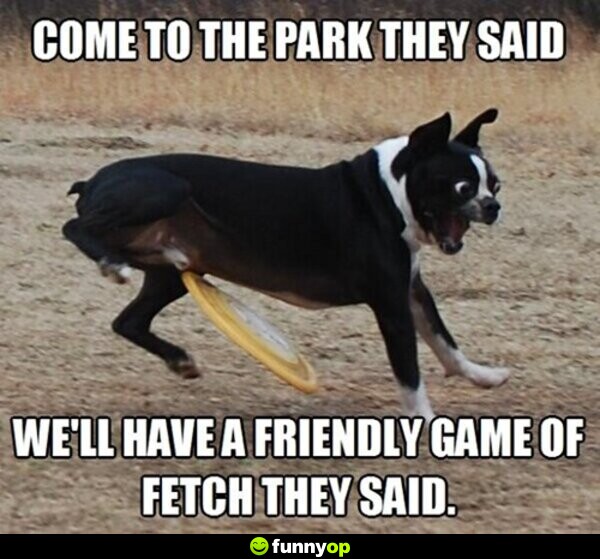 Come to the park they said We'll have a friendly game of fetch they said.