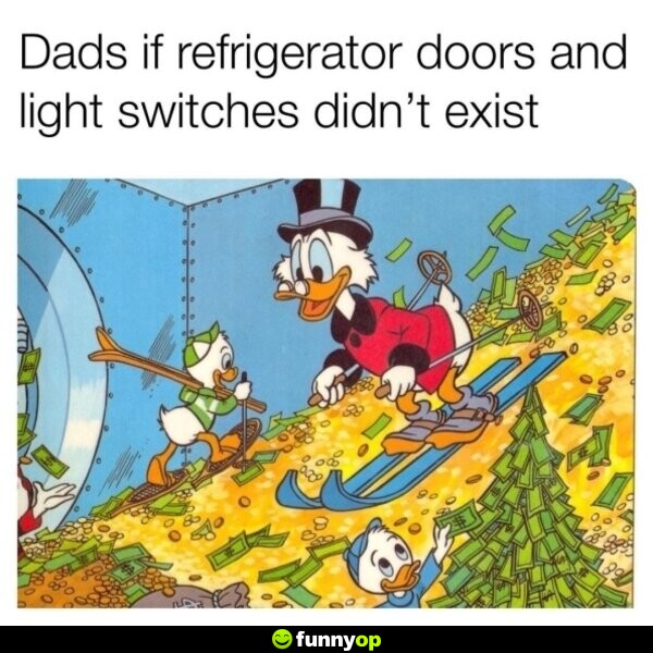 Dads if refrigerator doors and light switches didn't exist.