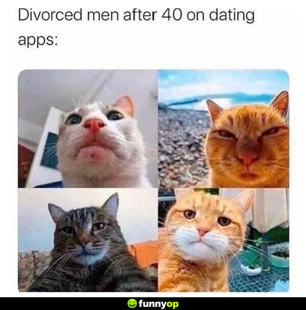 Divorced men after 40 on dating apps.