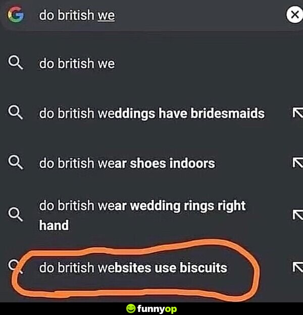 Do British we.. do British websites use biscuits