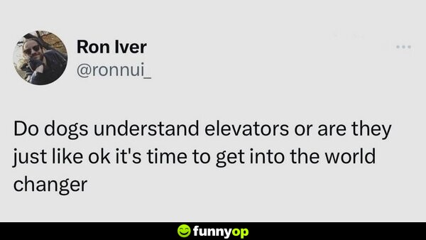 Do dogs understand elevators or are they just like ok it's time to get into the world changer.