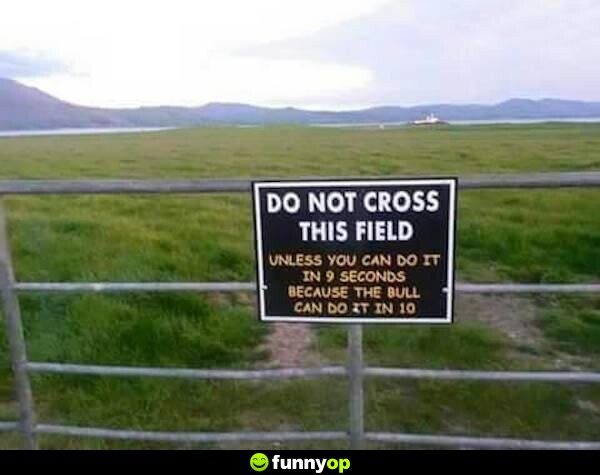 Do not cross this field unless you can do it in 9 seconds because the bull can do it in 10