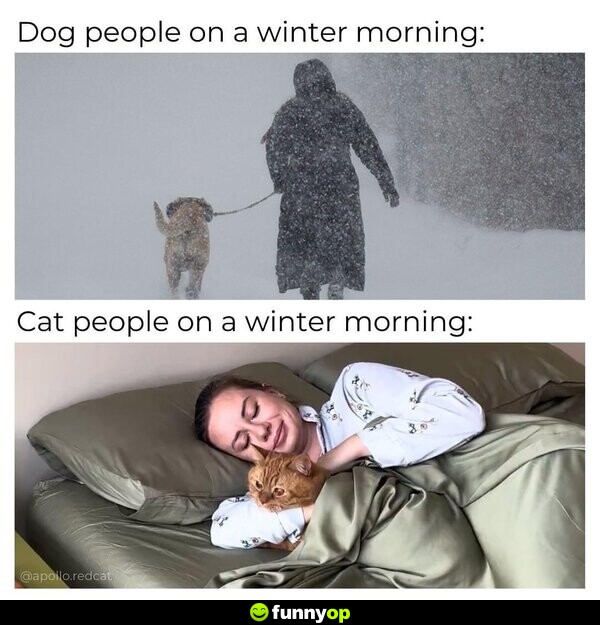 Dog people on a winter morning: Cat people on a winter morning: