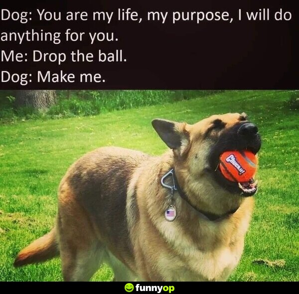 Dog: You are my life, my purpose, I will do anything for you. Me: Drop the ball. Dog: Make me.