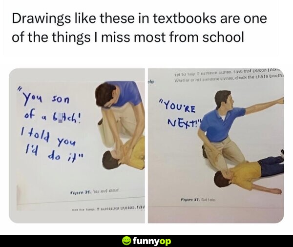 Drawings like these in textbooks are one of the things I miss most from school. 