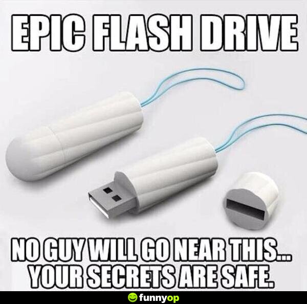 Epic flash drive. No guy will go near this ... your secrets are safe.
