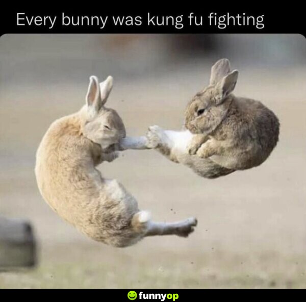 Every bunny was kung fu fighting.