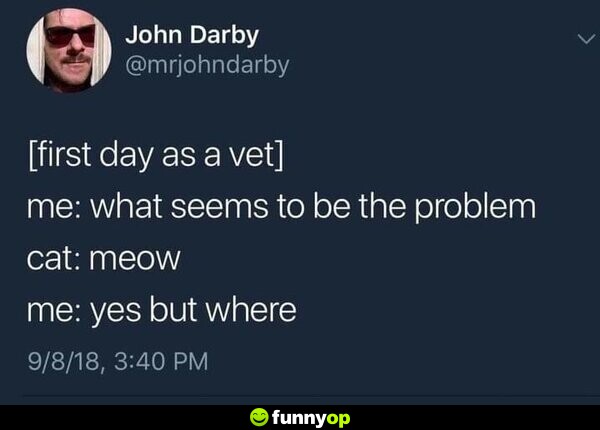 *first day as a vet* Me: What seems to be the problem? Cat: Meow. Me: Yes but where?
