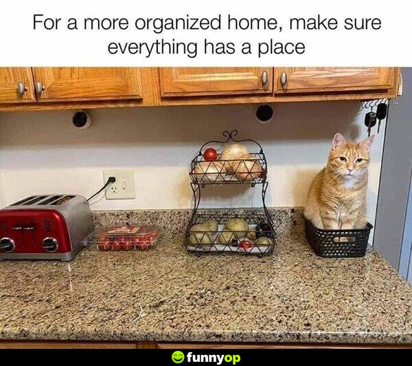 For a more organized home, make sure everything has a place.