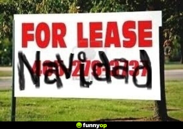 For lease navidad.