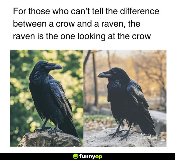 For those who can't tell the difference between a crow and a raven, the raven is the one looking at the crow.