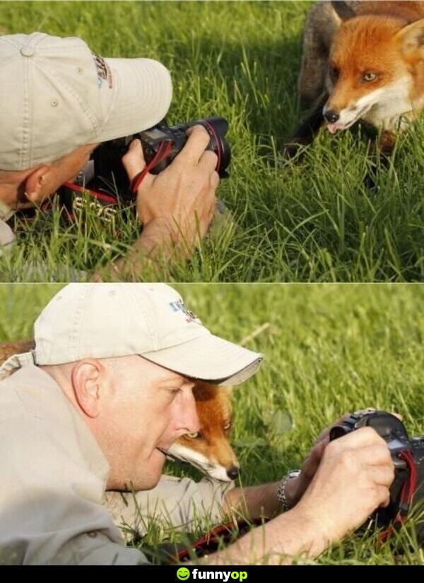 Fox photos.