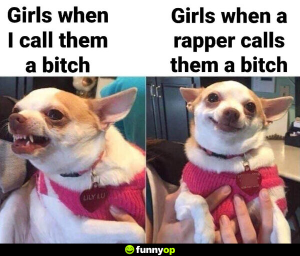 Girls when I call them a b****: *growling* Girls when a rapper calls them a b****: *smiling*