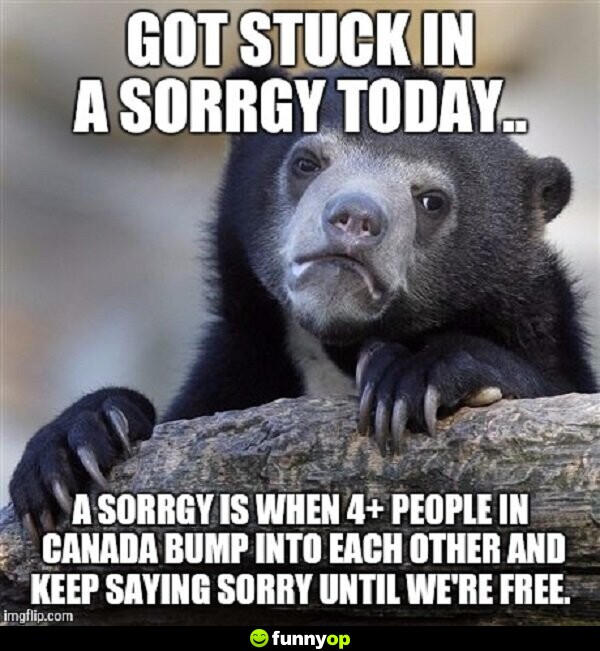 Got stuck in a sorrgy today a sorrgy is when 4+ people in canada bump into each other and keep saying sorry until we're free.