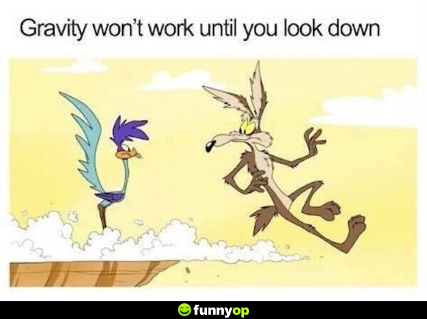 Gravity won't work until you look down.