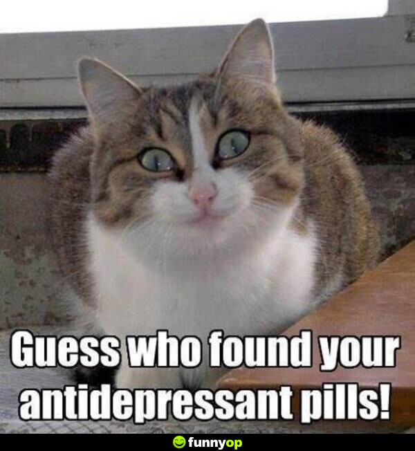 Guess who found your antidepressant pills?