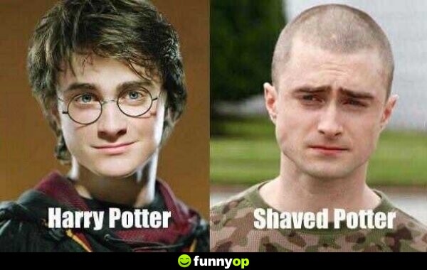 Harry Potter. Shaved Potter.