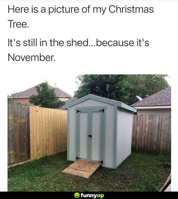 Here is a picture of my Christmas tree. It's still in the shed... because it's November.