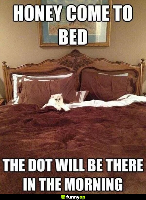 Honey come to bed the dot will be there in the morning.