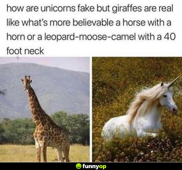 How are unicorns fake but giraffes are real? Like what's more believable- a horse with a horn or a leopard-moos-camel with a 40 foot neck?