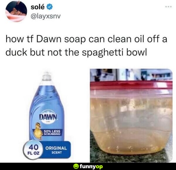 How tf Dawn soap can clean oil off a duck but not the spaghetti bowl.