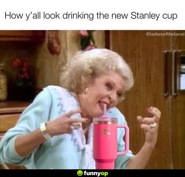 How y'all look drinking the new Stanley cup.
