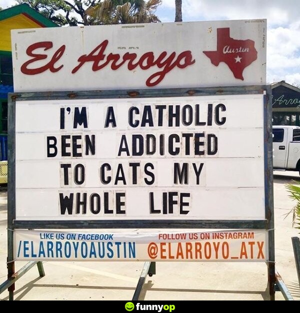 I'm a catholic been addicted to cats my whole life.