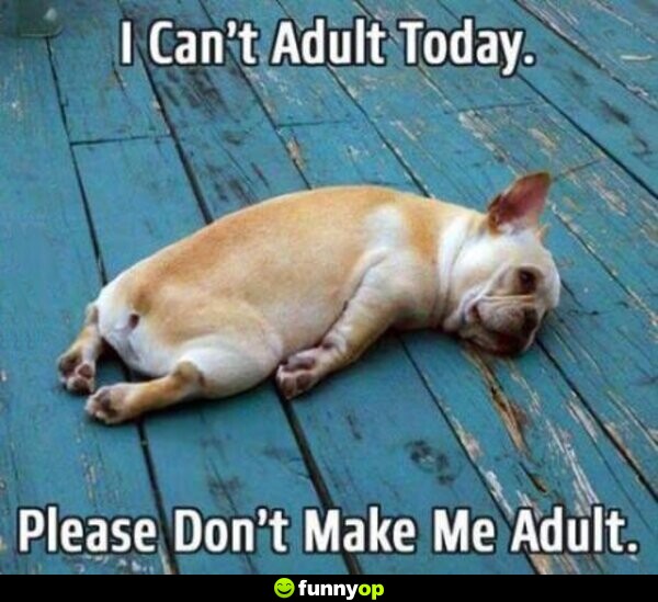 I can't adult today. Please don't make me adult today.