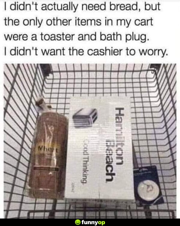 I didn't actually need bread, but the only other items in my cart were a toaster and bath plug. I didn't want the cashier to worry.
