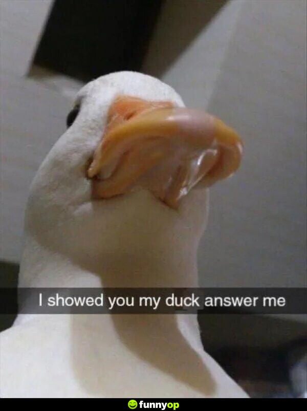 I showed you my duck answer me.