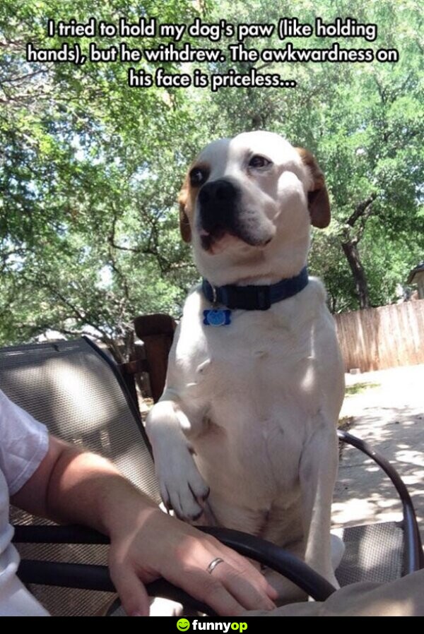 I tried to hold my dog's paw like holding hands, but he withdrew. The awkwardness on his face is priceless.