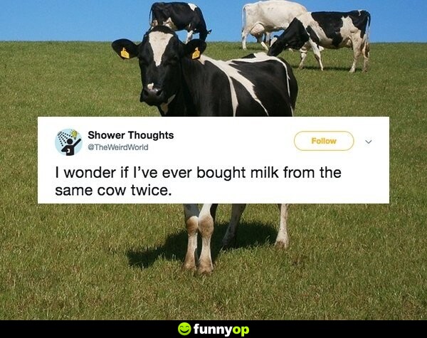 I wonder if I've ever bought milk from the same cow twice.