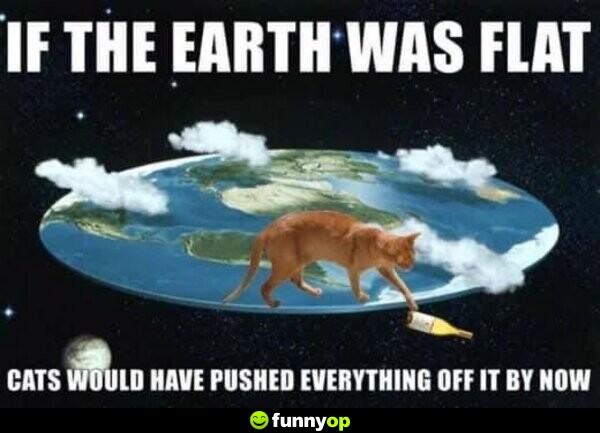If the Earth was flat, cats would have pushed everything off it by now.