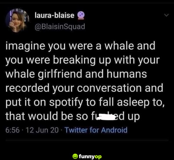 Imagine you were a whale and you were breaking up with your whale girlfriend and humans recorded your conversation and put it on spotify to fall asleep to, that would be so f***ed up.