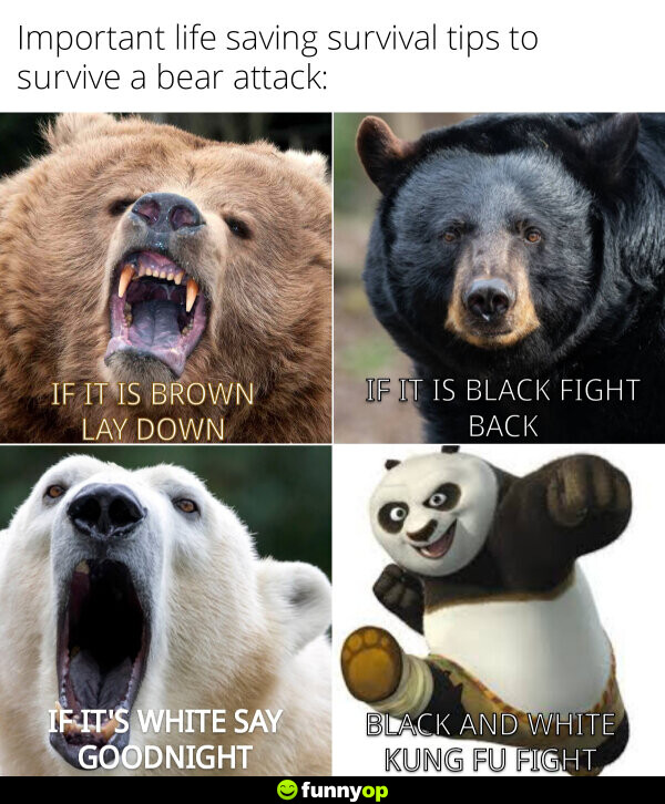 Important life saving survival tips to survive a beer attack if it is brown lay down if it is black fight back if it is white say good night black and white kung fu fight.