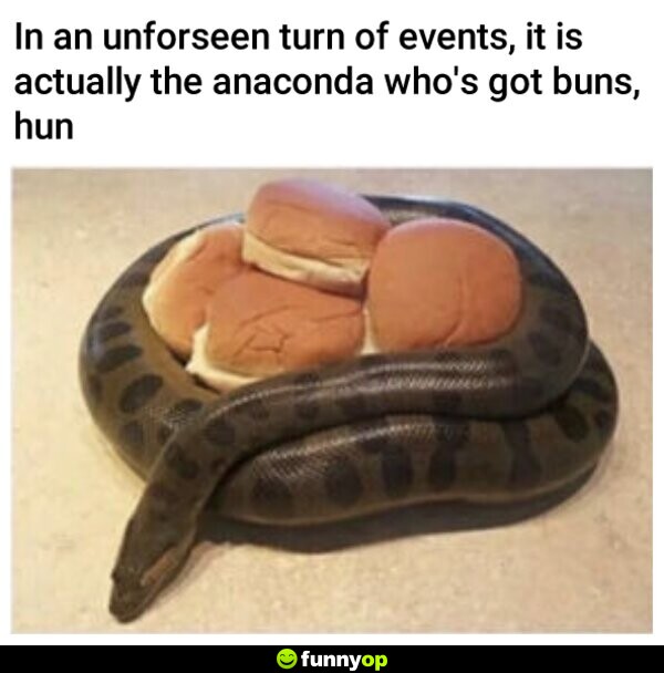 In an unforseen turn of events, it is actually the anaconda who's got buns, hun.