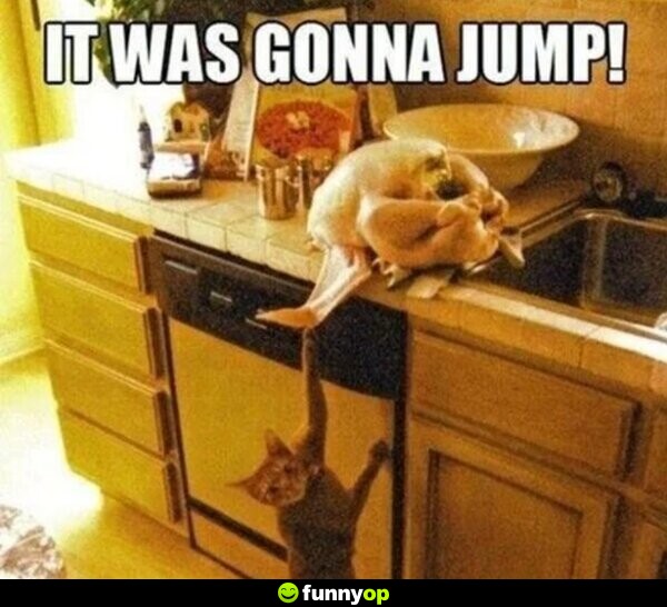 It was going to jump!